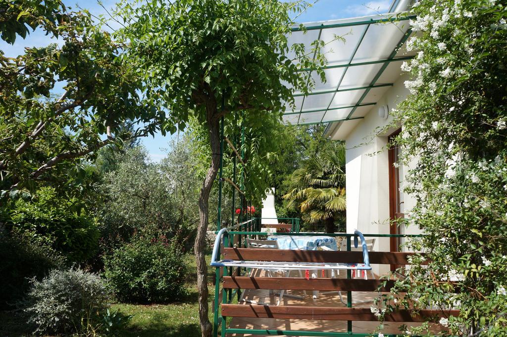 Studio And Apartment Nadia With Garden Пореч Стая снимка
